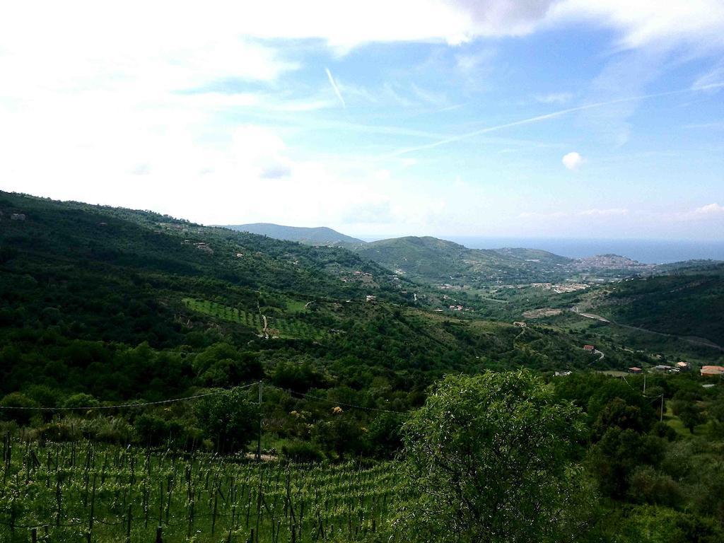 Villa Nigro Laureana Cilento Exterior photo