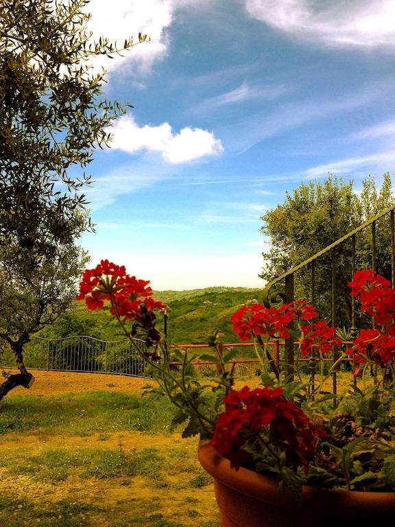 Villa Nigro Laureana Cilento Exterior photo