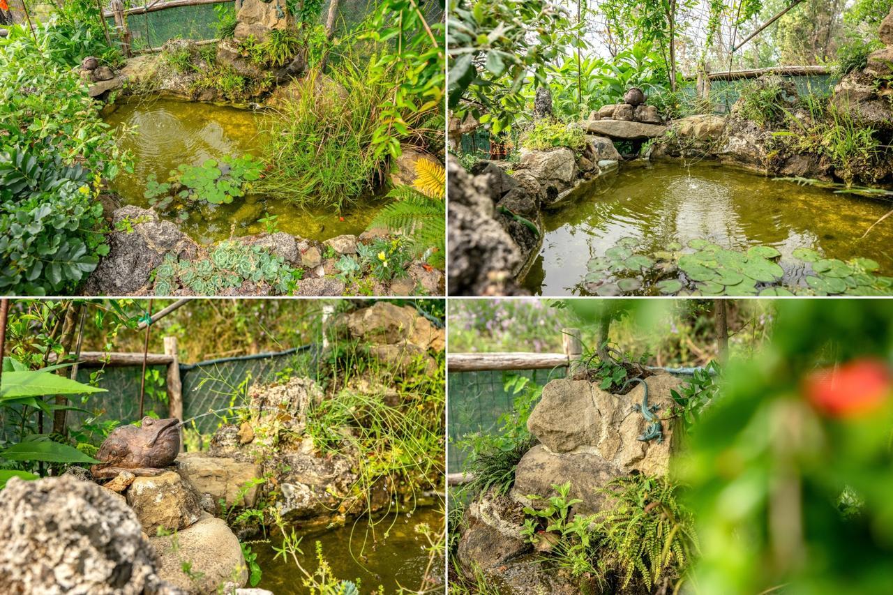 Villa Nigro Laureana Cilento Exterior photo